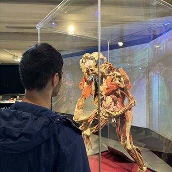 Body Worlds Exhibit - Museums Near Me - Boston, Massachusetts