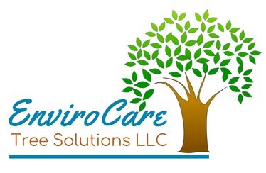 EnviroCare Tree Solutions - tree service in Tucson, AZ