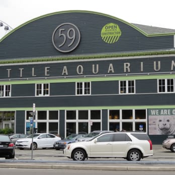 Seattle Aquarium - Aquarium - Aquariums Near Me - Seattle, Washington Seattle Aquarium - Aquarium - Aquariums Near Me - Seattle, Washington