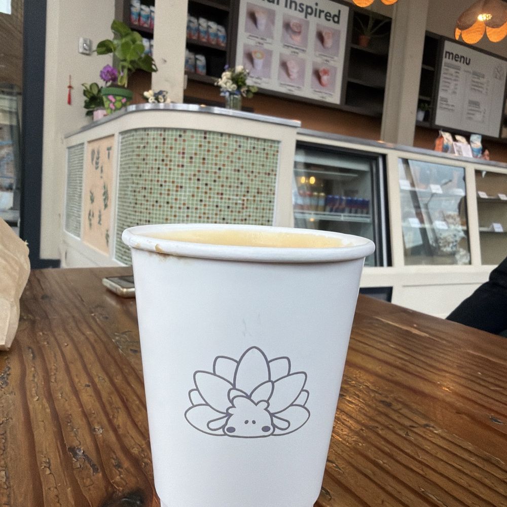 Nudibranch Coffee - Coffee cup - Coffee & Tea Near Me - Seattle, Washington Nudibranch Coffee - Coffee cup - Coffee & Tea Near Me - Seattle, Washington
