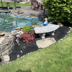 Darn Near Anything Lawn Care Service