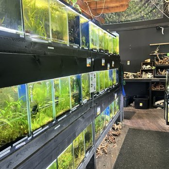 Fish Happens - Aquariums Near Me - Indianapolis, Indiana Fish Happens - Aquariums Near Me - Indianapolis, Indiana