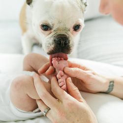 Meredith McKee Photography