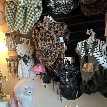 Pretty Little Pup Grooming - The clothes are you kidding me - Pet Groomers Near Me - Ontario, California