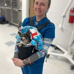 Dayton Valley Veterinary Hospital - Amazing patient care is our priority!