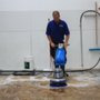 Photo of Nisei Rug Cleaners