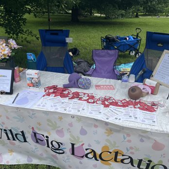 Wild Fig Lactation - at the Baltimore Birth Festival! - Lactation Services Near Me Wild Fig Lactation - at the Baltimore Birth Festival! - Lactation Services Near Me