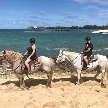 Stables - Horseback Riding Near Me - Kahuku, Hawaii Stables - Horseback Riding Near Me - Kahuku, Hawaii