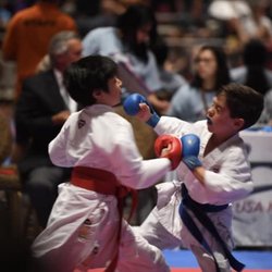 Livermore School Of Karate
