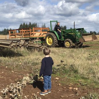 Dolan Creek Farm - Pumpkin Patches Near Me - Boring, Oregon Dolan Creek Farm - Pumpkin Patches Near Me - Boring, Oregon