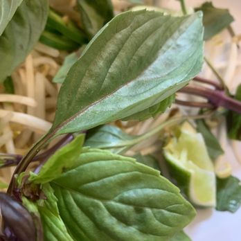 Pho Ha #7 - sand and dirt covered leaves. completely unwashed - Vietnamese Near Me - Riverside, California Pho Ha #7 - sand and dirt covered leaves. completely unwashed - Vietnamese Near Me - Riverside, California
