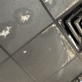 Wingstop - Mold growing on dining room ceiling. - Chicken Wings Near Me - Clarksville, Tennessee Wingstop - Mold growing on dining room ceiling. - Chicken Wings Near Me - Clarksville, Tennessee