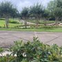 Photo of Helen's Park