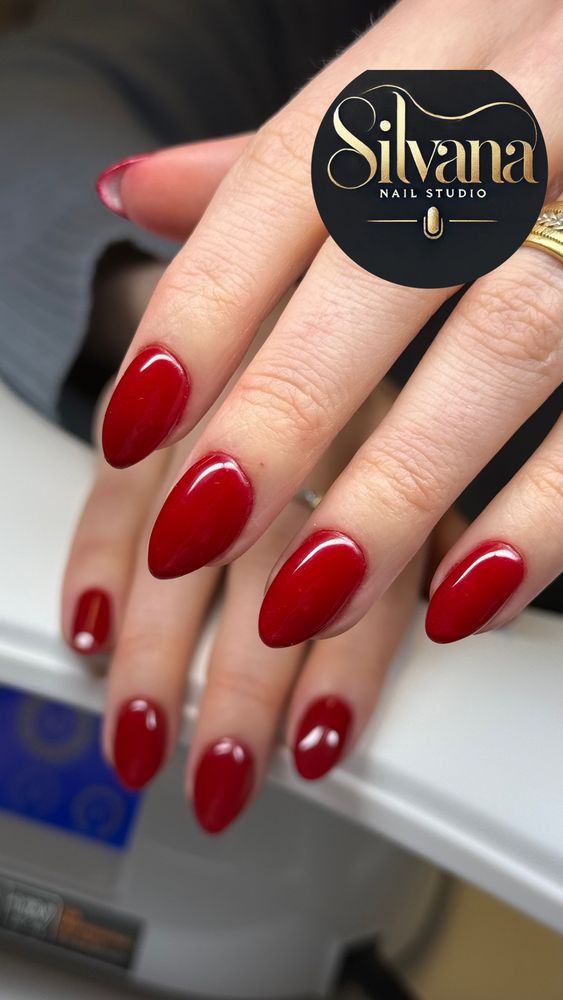 Silvana Nail Studio Logo