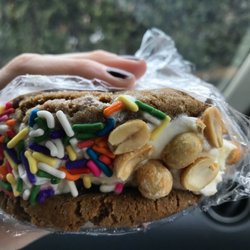 Finger Lakes Cookie Company - "Make-Your-Own Cookiewich" homemade vanilla ice cream between two warm molasses cookies, rolled in rainbow sprinkles and peanuts!!