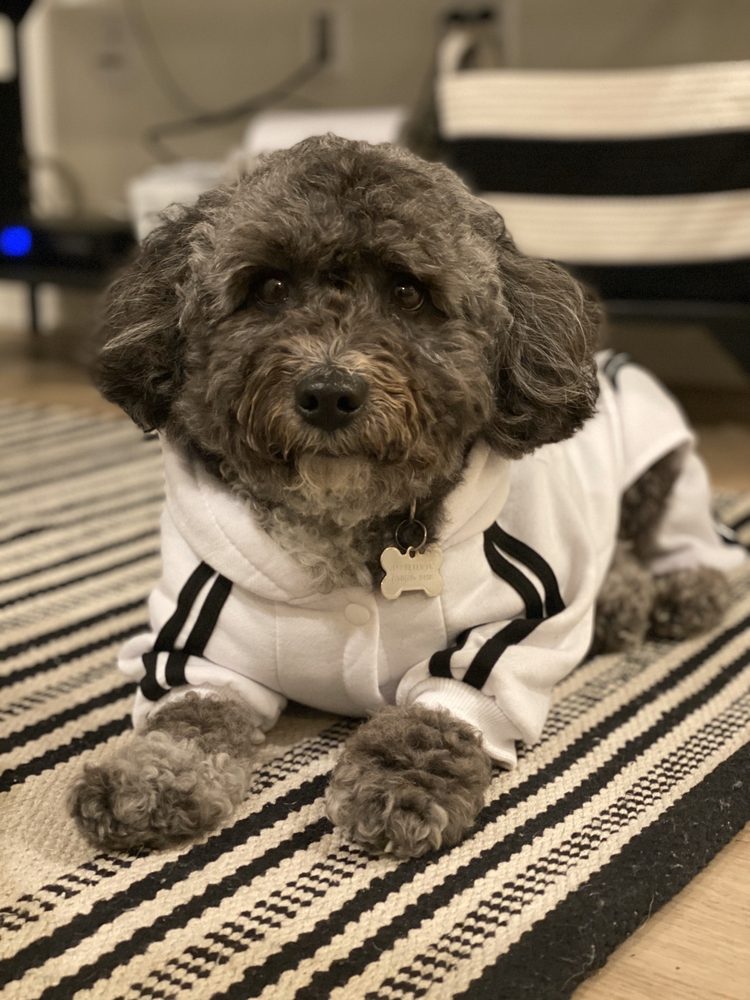 THE 13 Photos & 28 Reviews 1210 Camino Del Mar, Del Mar