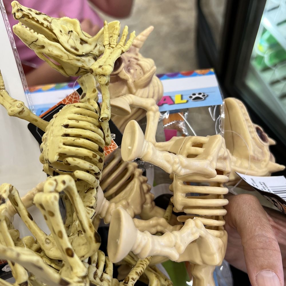 Skeleton rats and unicorns!!!! Skelecorns? Skeleton rats and unicorns!!!! Skelecorns?