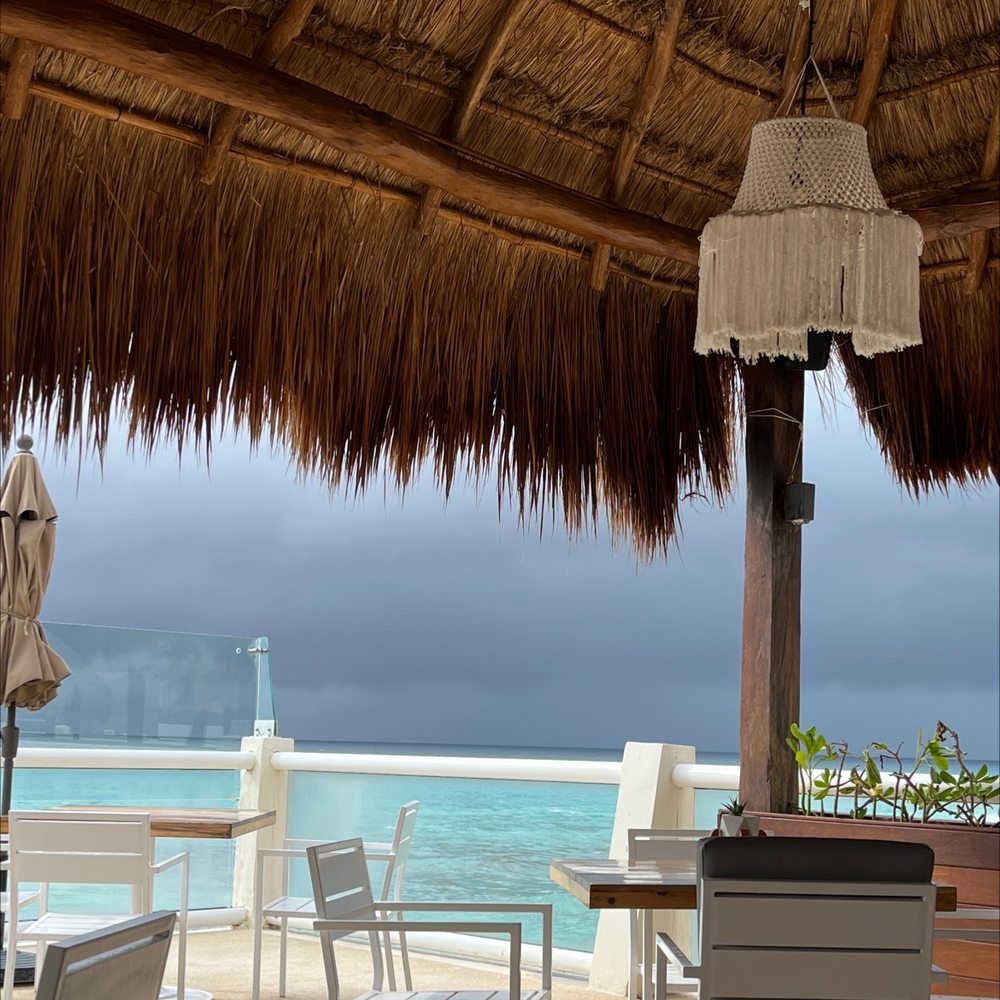 La Palapa