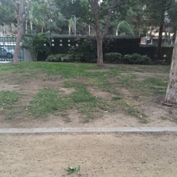 a Dog Park with no Dog ????