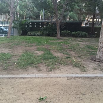 Highland Camrose Park - a Dog Park with no Dog ???? - Dog Parks Near Me - Los Angeles, California