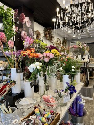 Creations by Coppola by null
