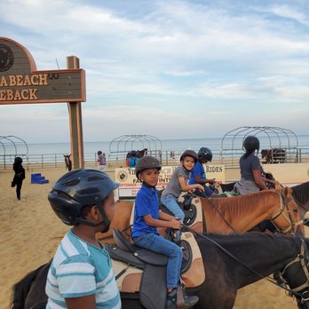 Virginia Beach Horseback - All the horses are lined up before we leave to go through safety reminders - Horseback Riding Near Me - Virginia Beach, Virginia