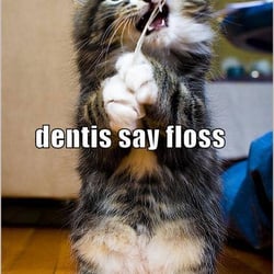 Drs. Davis & Nyczepir