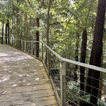 Scenic Skyway - Boardwalk - Hotels Near Me - Katoomba, NSW