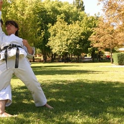 A.A.M.Yiseishindo - karate