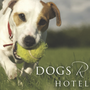 Photo of Dogs R Us Hotel