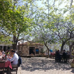 Mustafa'nın Kayfesi