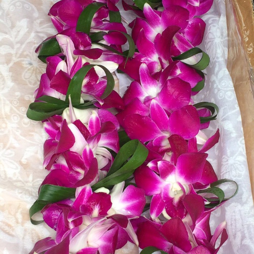 Absolute Elegance - Orchids and ti leaves lei - Floral Designers Near Me