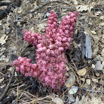 Ernie Maxwell Scenic Trail - Hiking Near Me