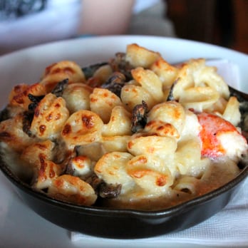 The Publick House - Orrechetti pasta, 5 cheese sauce,  and lobster - Pubs Near Me - Brookline, Massachusetts
