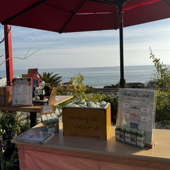 Rafi Lounge - Yoga Near Me - Malibu, California