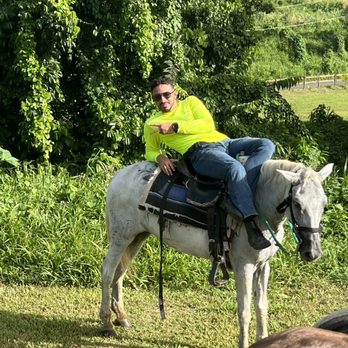 Carabali Rainforest Park - Horseback Riding Near Me - Luquillo, Puerto Rico