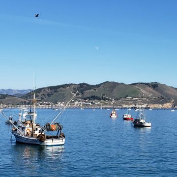 Mersea's - It was a beautiful February Winter day here on the Center Coast. Sunny, clear and 79° - Bars Near Me - Avila Beach, California Mersea's - It was a beautiful February Winter day here on the Center Coast. Sunny, clear and 79° - Bars Near Me - Avila Beach, California