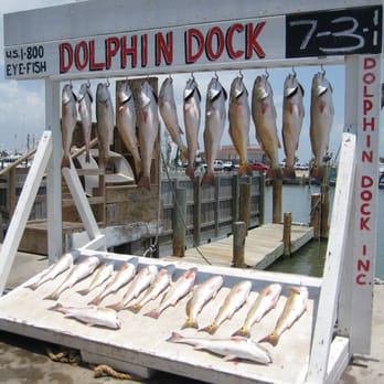 Dolphin Dock - Fishing Near Me - Port Aransas, Texas