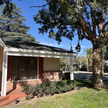 SoCal Tree Pros - Before and after photos - Tree Services Near Me SoCal Tree Pros - Before and after photos - Tree Services Near Me