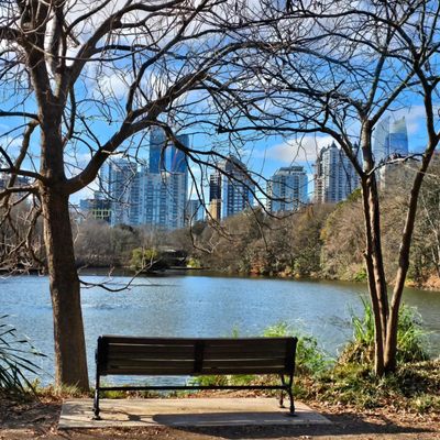 Piedmont Park by null