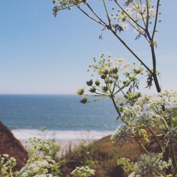 Pinnacle Gulch Coastal Access Trail - Views from trail. - Hiking Near Me - Bodega Bay, California