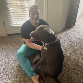 Rob's Dogs - Pet Training Near Me - Phoenix, Arizona