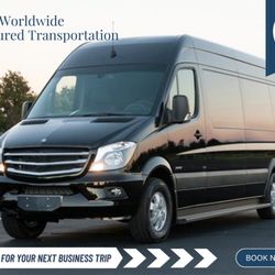 Sunny's Worldwide Chauffeured Transportation - Our luxury vans are the perfect fit for your company's travel purposes.