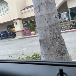 That Little pink car shopping cart saves me!!! That Little pink car shopping cart saves me!!!