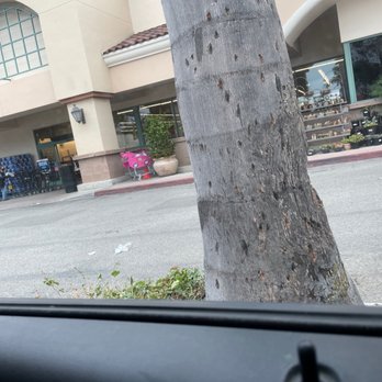 Vons - That Little pink car shopping cart saves me!!! - Grocery Near Me - Ventura, California Vons - That Little pink car shopping cart saves me!!! - Grocery Near Me - Ventura, California