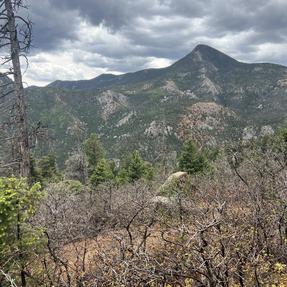 Manitou Incline - Hiking Near Me