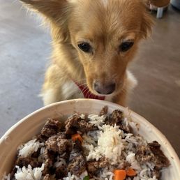 For the doggies, beef with rice and veggies