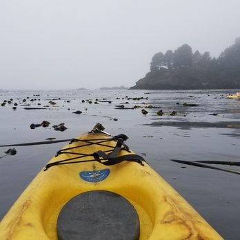 Kayak Mendocino - Headed out! - Tours Near Me - Little River, California Kayak Mendocino - Headed out! - Tours Near Me - Little River, California