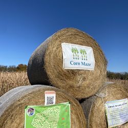 Rutledge-Wilson Farm Community Park - Corn maze
