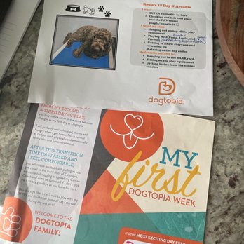 Dogtopia of Arcadia - Cute keepsake to remember her first day at Dogtopia! - Pet Boarding Near Me - Phoenix, Arizona Dogtopia of Arcadia - Cute keepsake to remember her first day at Dogtopia! - Pet Boarding Near Me - Phoenix, Arizona